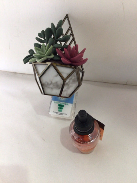 Bath & Body Works Succulent White/Green 2 Piece Potpourri