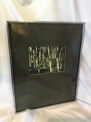 Green/Black Birch Framed Art