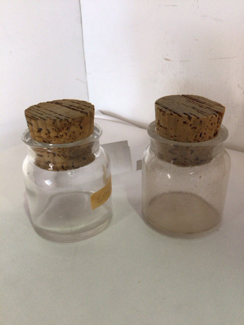 Pair Clear Glass Bottle Set