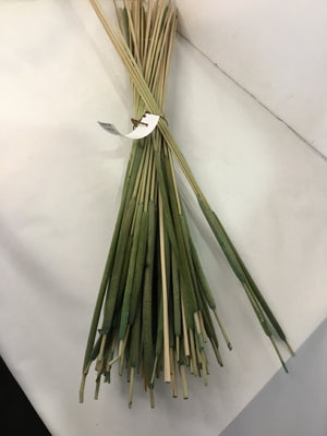 Green Wood Cattails Bunch Faux Plant