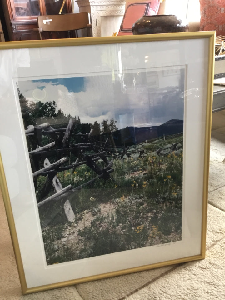 Signed Black/Green Field Mountain Framed Art