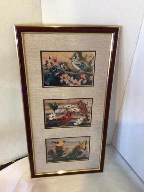 Divided Multi-Color Bird Framed Art