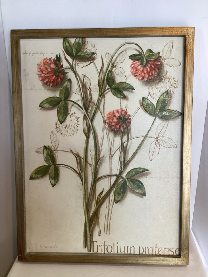 Botanical Cream/Peach Floral Framed Art