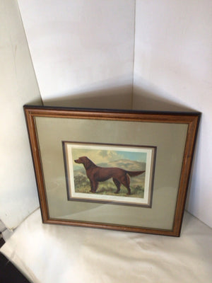 Traditional Green/Brown Dog Framed Art