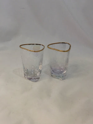 Anthropologie Shot glass Gold Trim Glass Pair Glasses