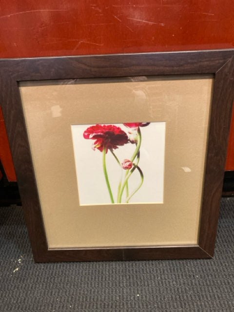 Brown/Red Rose Framed Art