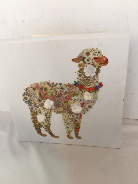 Multi-Color Llama Floral Stretch Canvas Art