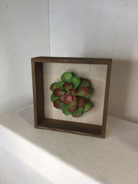 Shadow Green/Brown Succulent Framed Art