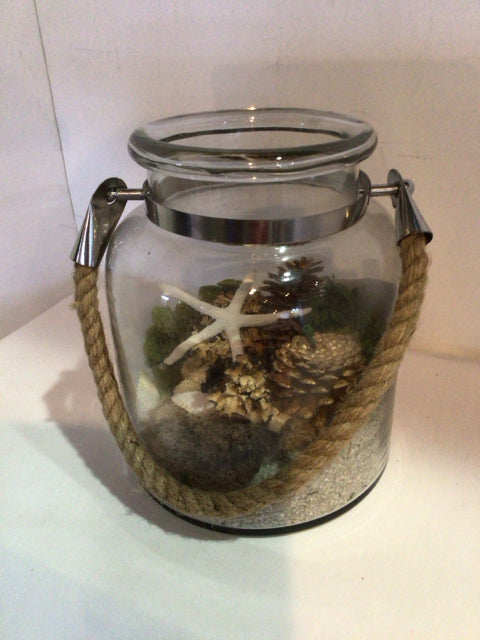 Clear/Green Glass Terrarium