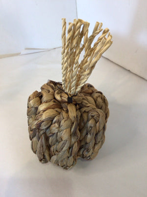 Fall Natural Seagrass Pumpkin Holiday Item
