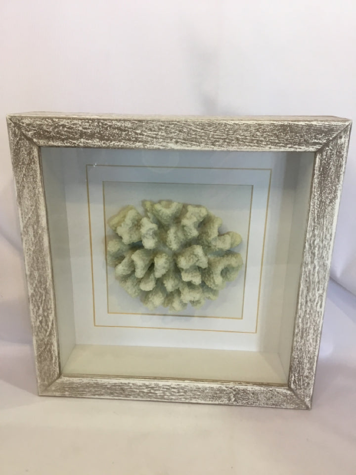 Shadow Box Cream Coral Framed Art