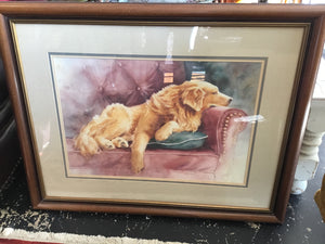 Multi-Color Dog Framed Art