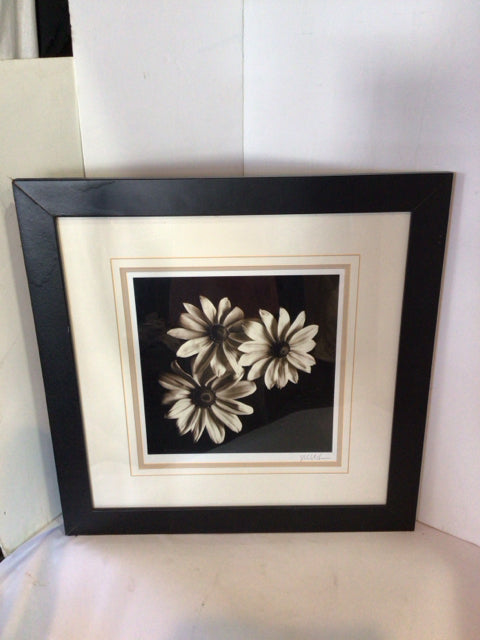 Signed White/Black Flowers Framed Art