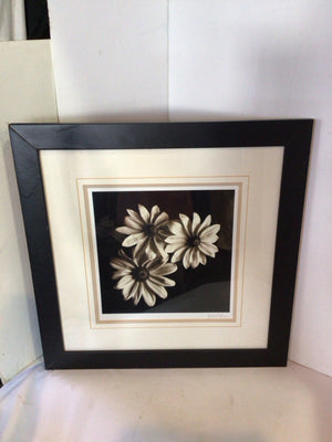 Signed White/Black Flowers Framed Art