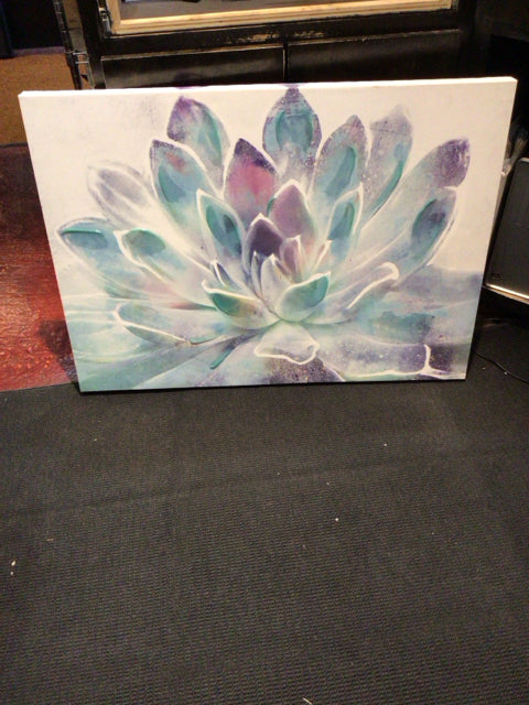Multi-Color Canvas Succulent Stretch Canvas Art