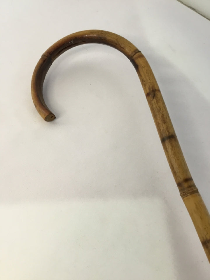 Brown Bamboo Cane