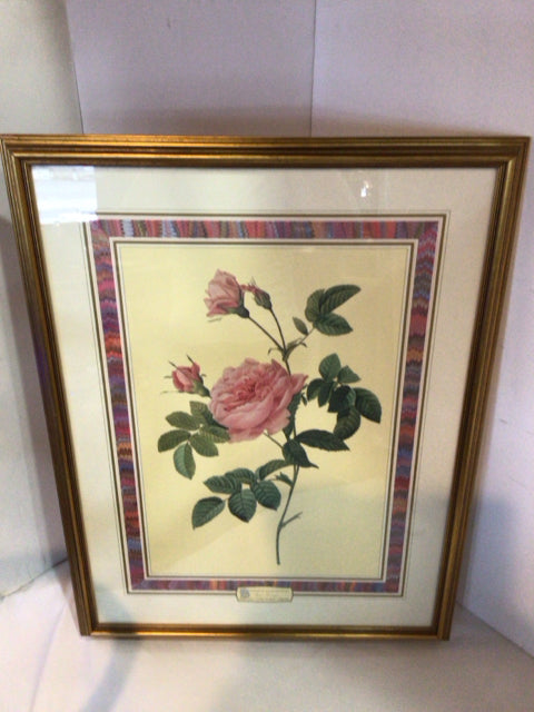 Botanical Green/Pink Roses Framed Art