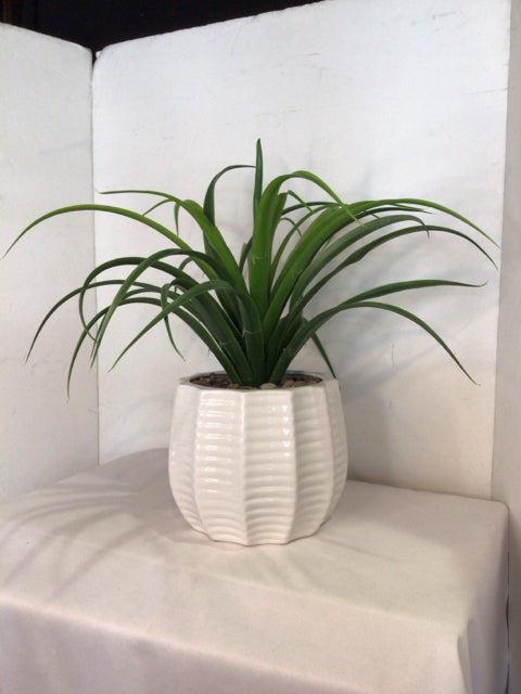 Green/White Fern Faux Plant