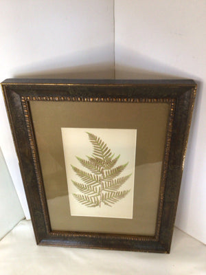 Botanical Green Leaf Framed Art