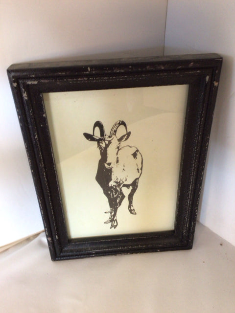 Vintage Black/White Goat Framed Art