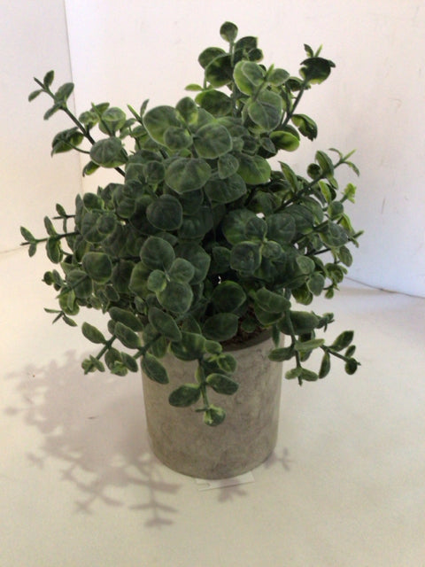 Green/Gray In Planter Faux Plant