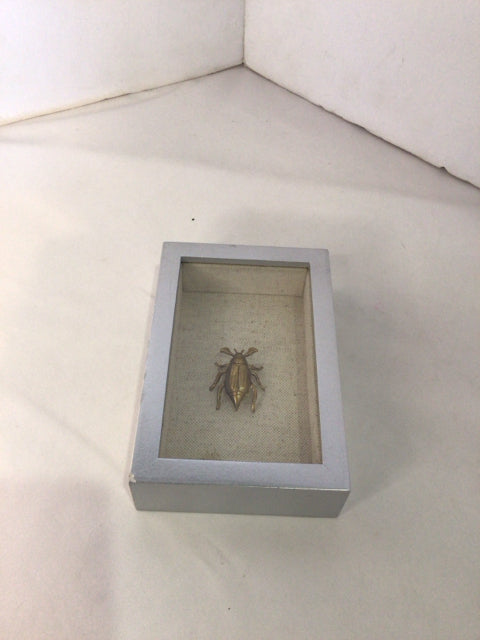 Gold/Silver Wood/Metal Bug Shadow Box