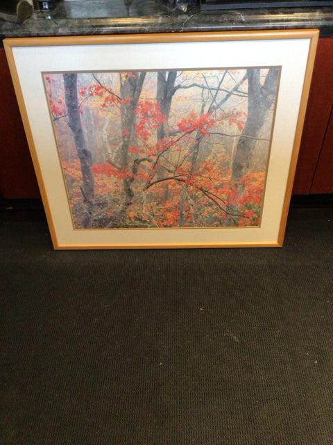 Red/Gray Forest Autumn Framed Art