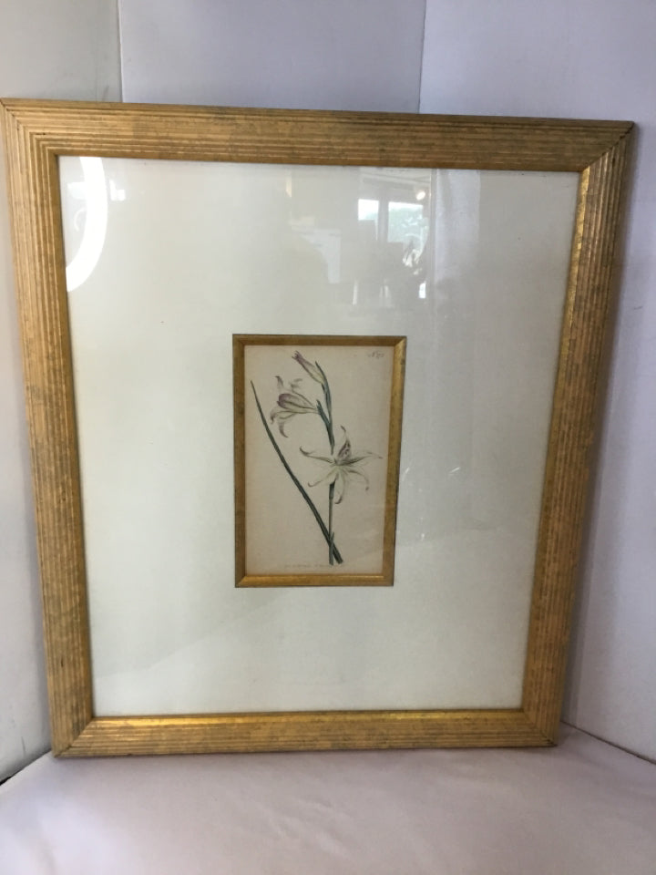 Botanical Cream/Gold Flower Framed Art