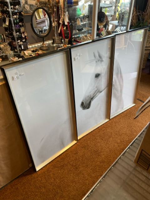 Triptych Black/White Horse Framed Art