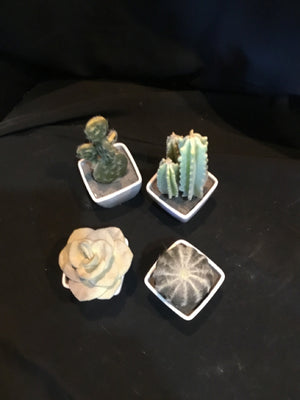 Green 4 Piece Set Cactus Faux Plant