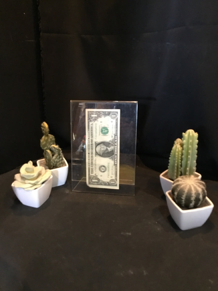 Green 4 Piece Set Cactus Faux Plant