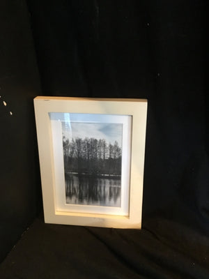 West Elm Photo Black/White Trees Lake Framed Art