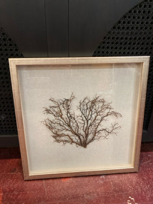 Beige/Brown Tree Framed Art