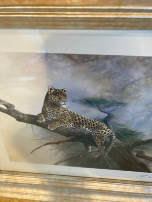 Signed Cream/Brown Africa Leopard Framed Art
