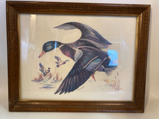 Vintage Multi-Color Mallard Ducks Framed Art