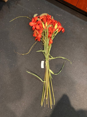 Faux Red/Orange Lillies Flowers