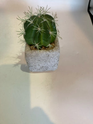 Green/White Cactus Faux Plant