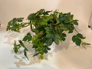 Green/White Ivy Faux Plant
