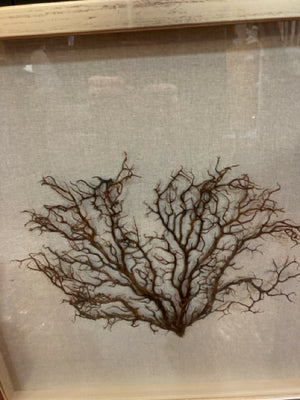 Beige/Brown Tree Framed Art