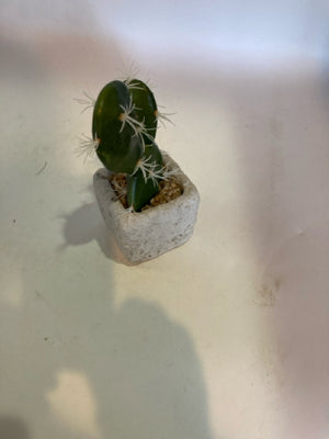 Green/White Cactus Faux Plant