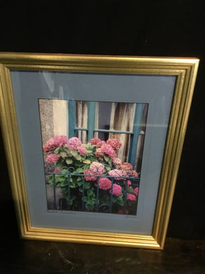 Blue/Pink Hydrangea Framed Art