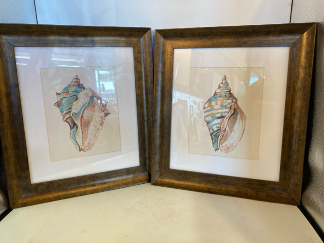 Blue/Green Seashell Pair Framed Art
