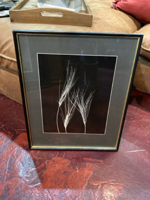 Photograph Black/White Wheat Framed Art