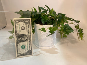 Green/White Ivy Faux Plant